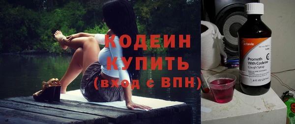 молекула духа Елабуга