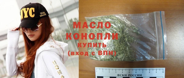 соль ск Инсар