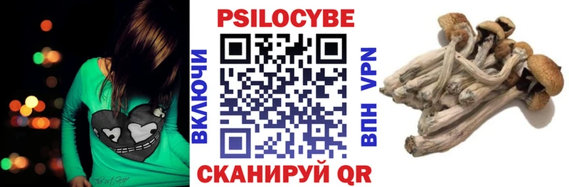 Псилоцибиновые грибы Psilocybe  Нижние Серги 